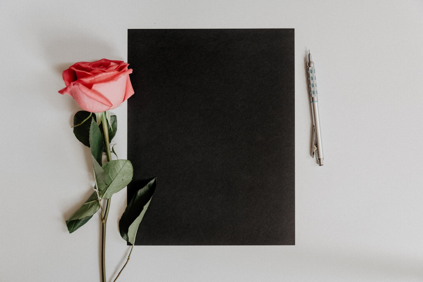 Eddie Brock’s Journey Into the World of Poetry